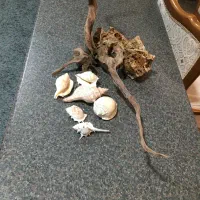 آکواریوم|ماهی|تهران, دانشگاه شریف|دیوار