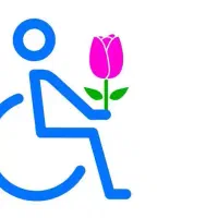 معلول بیمار خاص ویلچری