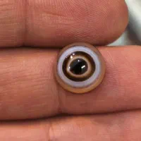 عقیق باباقوری سه پوست چشمی چند میخرید