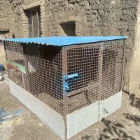 قفس پرنده .آهنی مستحکم