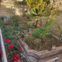 فروش زمین کارگاهی ۳۵۰ متری