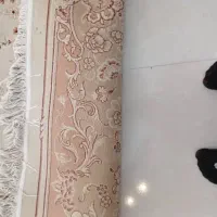 فرش مشهد|فرش|گرگان, |دیوار