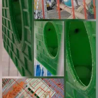 یک جفت مرغ عشق مولد