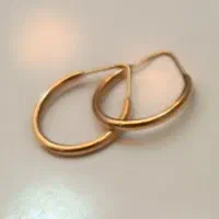 گشواره حلقه ای بدون اجرت