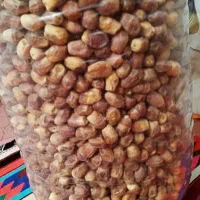 خرمای کبکاب و زاهدی