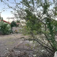 فروش ۳۰۰متر زمین مسکونی سنددار در چونچنان