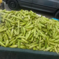 بامیه خیار چنبر شادگان  سه راه پشت برج