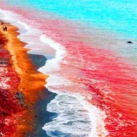 تور ریلی و هوایی قشم اقساطی