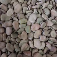 باقالی خرم آباد