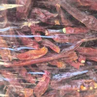 فلفل قرمز محلی تند.فلفل قرمز دم کنده .فلفل پاپریکا|خوردنی و آشامیدنی|مشهد, امیرآباد|دیوار