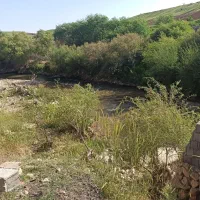 فروش-زمین