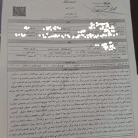 ارائه خدمات فنی رتبهبندی شرکتها