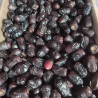 خرما پنچ کیلو وزن میانگین 6/800|حراج|بم, |دیوار
