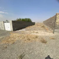 زمین فروشی ۲۴۰متر در ۵۵متری|فروش زمین و ملک کلنگی|چناران, |دیوار