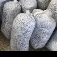 فروش کش