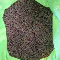 کشمش آفتابی
