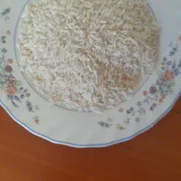 برنج هاشمی استانه
