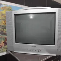 تلویزیون