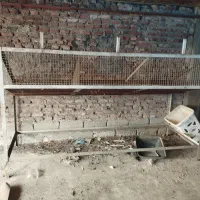 طبق آهنی|فروشگاه و مغازه|رشت, امین الضرب|دیوار