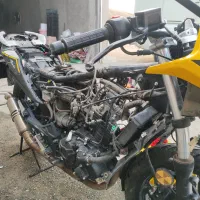 مگلی تصادفی