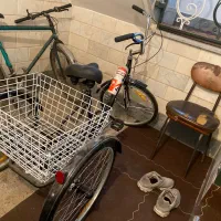 سه چرخه بزرگ سال