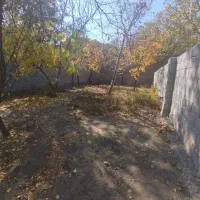 باغ حصارداردراسکو