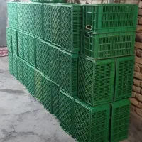 جعبه پلاستیکی انگور