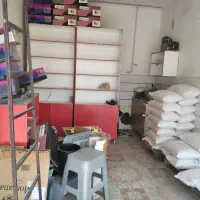 دو قفسه ام دی آف ویک عدد ویترین|فروشگاه و مغازه|قرچک, مهدیه|دیوار