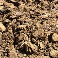 کود گوسفندی