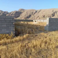 زمین