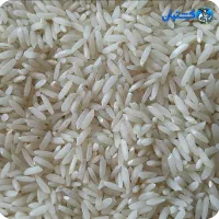 فروش برنج هاشمی درجه