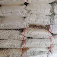 کودسفید