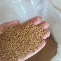 یونجه بسته بندی شده