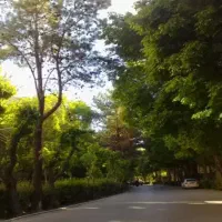 اپارتمان-100-متری-مهر