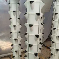یه گلخونه کوچیک تو حیاط خونت داشته باش