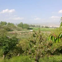 پنج-هزار-متر-باغ-واقع-در-جاده-دانشگاه