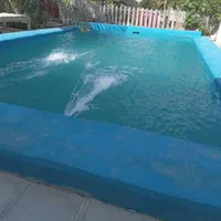 وبلا استخر دار|اجارهٔ کوتاهمدت ویلا و باغ|قشم, |دیوار