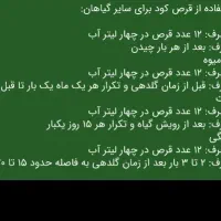 به گیاهت غذای درست ندی عمراش کم میشه|گل و گیاه طبیعی|لاهیجان, کوی خزر|دیوار