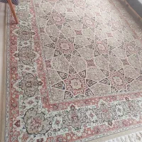 فرش ماشینی ۱۲ متری (برند فرش مشهد) فقط تماس|فرش|مشهد, تربیت (صدف)|دیوار