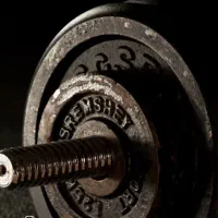 همخونه /همخانه