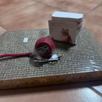 توپ شارژی و اسکرچر|گربه|مشهد, گوهرشاد|دیوار