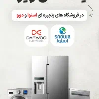 لباسشویی،ساید بای ساید یک اتفاق ویژه در دوو،اسنوا