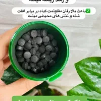 پک قرص کود و محرک رشد|گل مصنوعی|مشهد, الهیه|دیوار