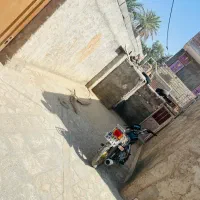 منزل ویلایی|فروش خانه و ویلا|بمپور, |دیوار