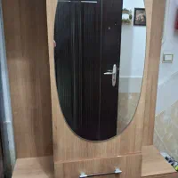 جاکفشی ایستاده با آینه