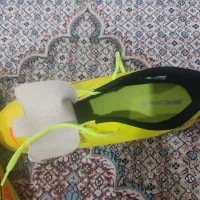 کفش نایک سالن|کیف، کفش، کمربند|شیراز, پودنک|دیوار