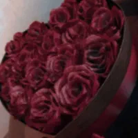 گل های ماندگار|گل مصنوعی|شیراز, شهرک سراج|دیوار