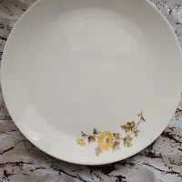 پلو خوری و پارچ و ظرف کودک