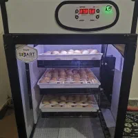 دستگاه جوجه کشی از ما تخم نطفه دار بوقلمون از شما