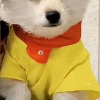 سگ ۳ماهه خوشگل  عاشق توپ وعروسک